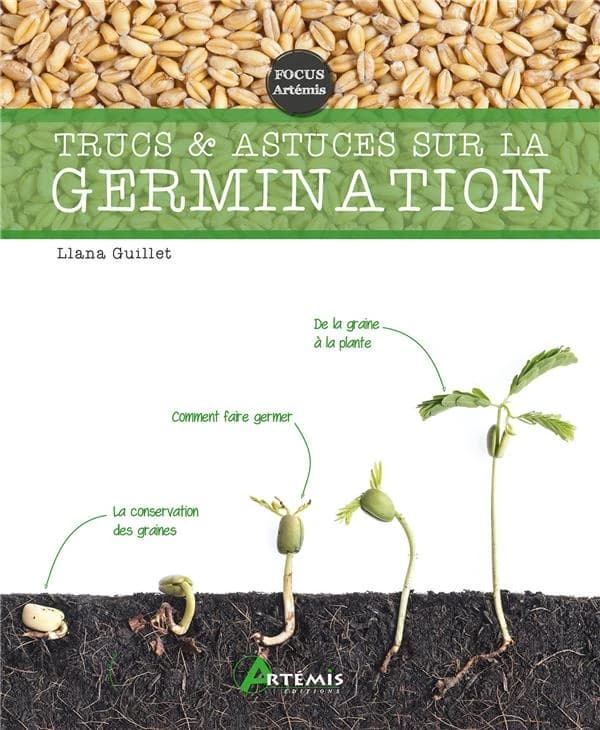 Trucs et astuces sur la germination