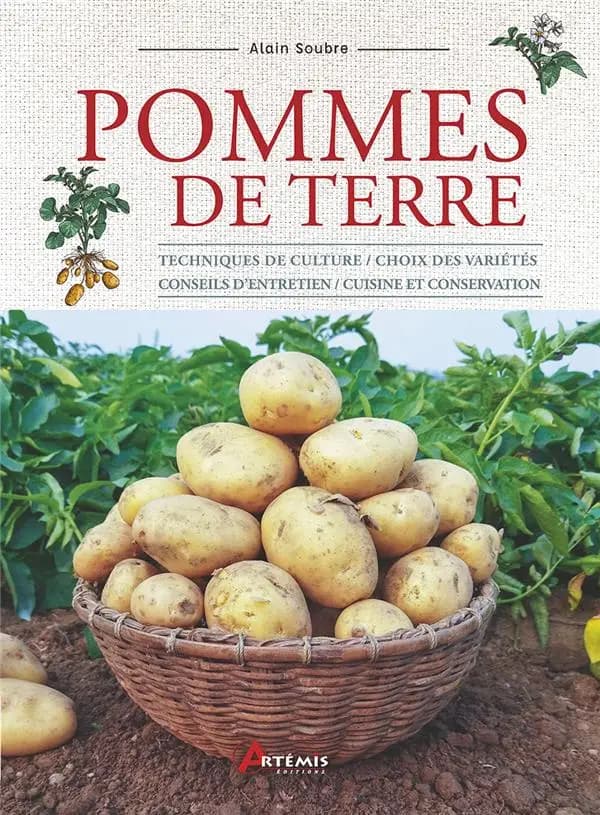 Pommes de terre : techniques de culture, choix des variétés, conseils d'entretien, cuisine et conservation