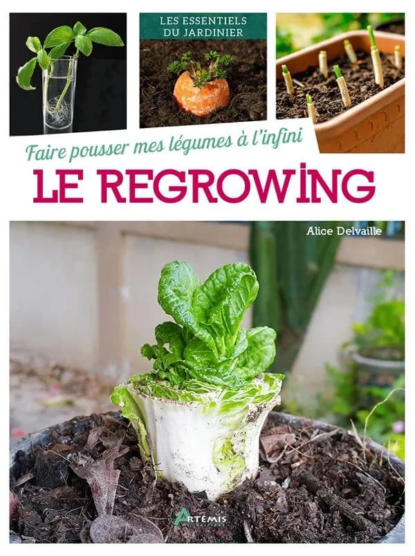 Le regrowing : faire pousser mes légumes à l'infini