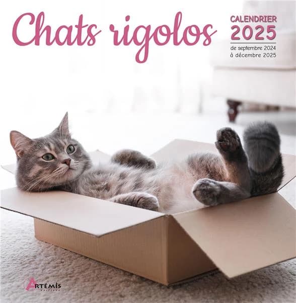 Chats rigolos (édition 2025)