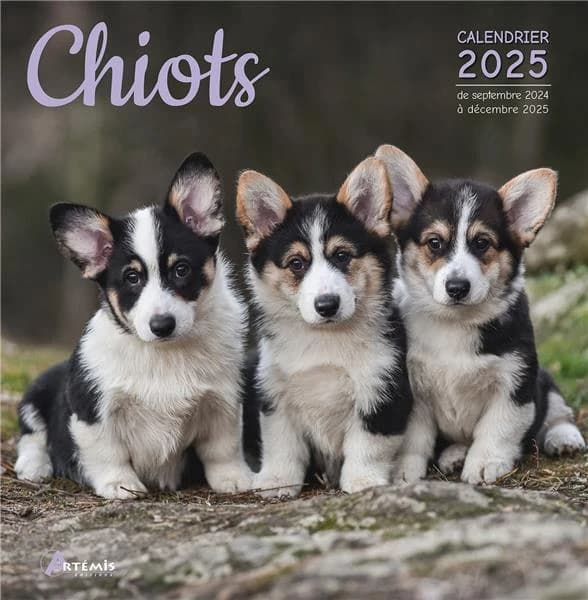 Chiots (édition 2025)