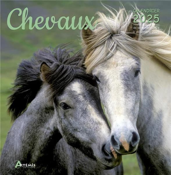 Chevaux (édition 2025)