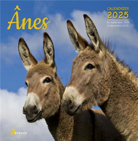 Anes : Calendrier de septembre 2024 à décembre 2025