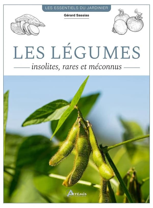 Les légumes : insolites, rares et méconnus