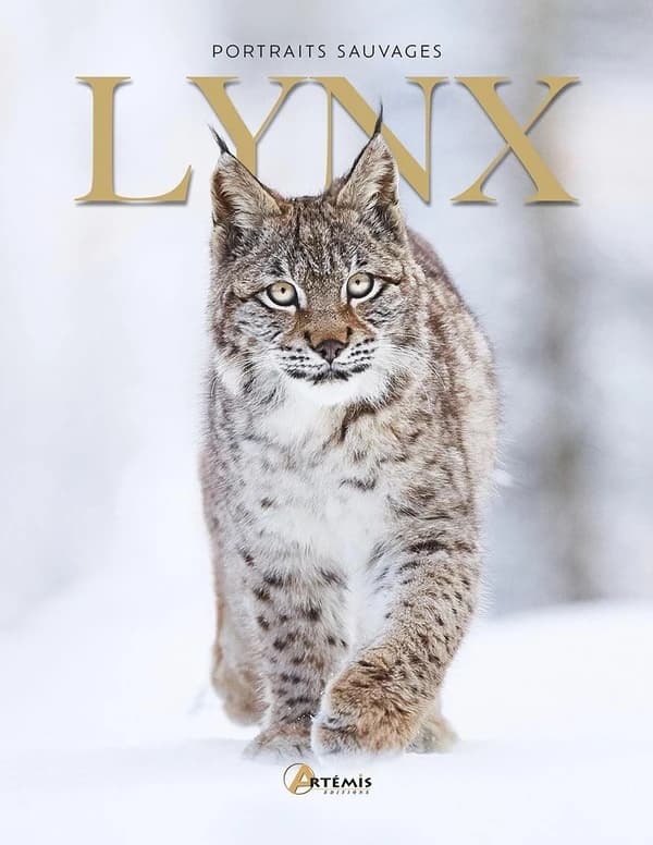 Lynx ([Nouvelle éd. actualisée]) Maurice Dupérat
