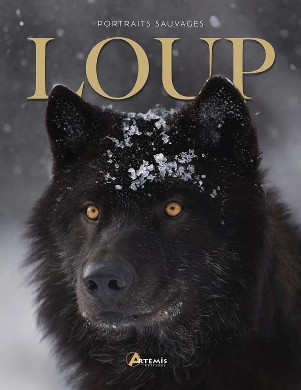 Loup ([Nouvelle éd. actualisée]) Maurice Dupérat
