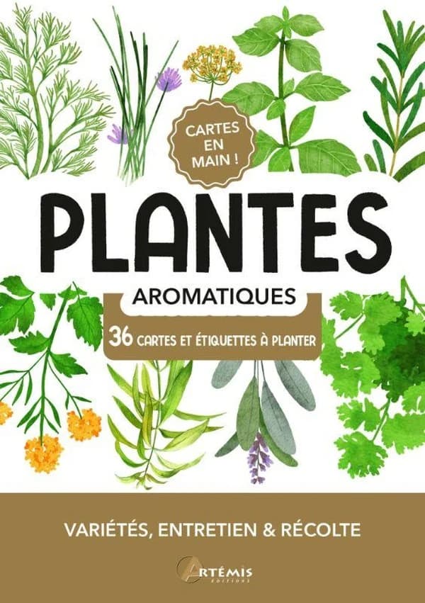 Cartes en main ! : Plantes aromatiques : Variétés, entretien & récolte