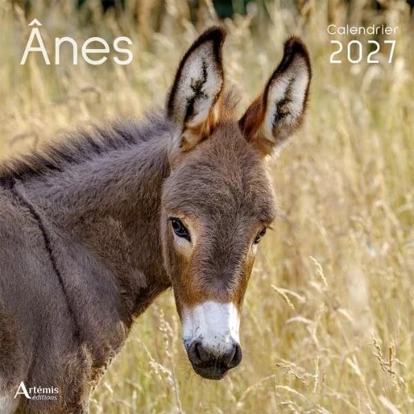 Calendrier Ânes (édition 2027)