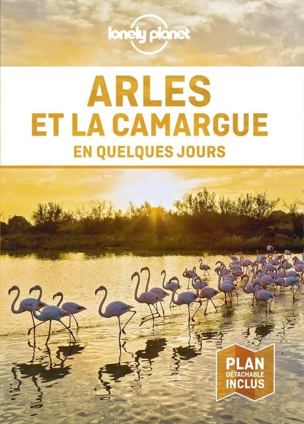 Arles et la Camargue
