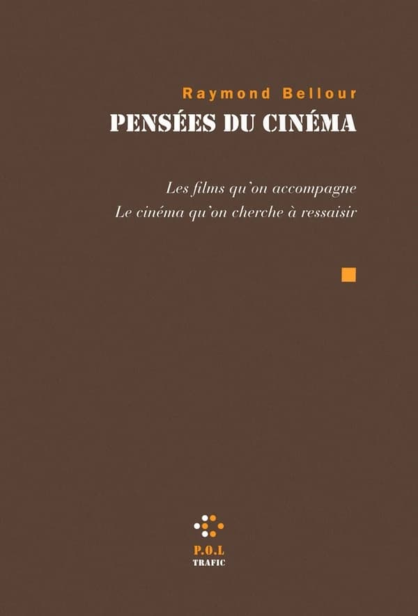 Pensées du cinéma : les films qu'on accompagne, le cinéma qu'on cherche à ressaisir