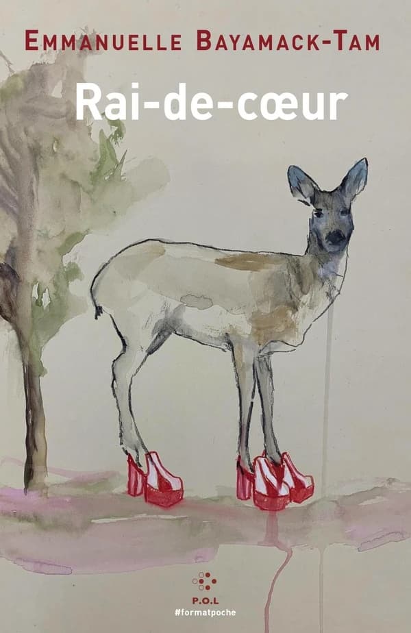 Rai-de-coeur : roman