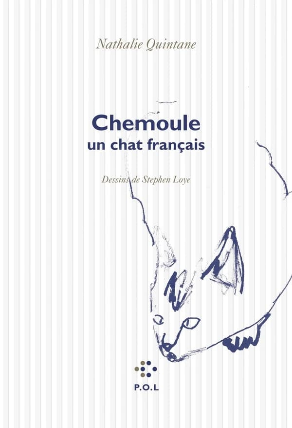 Chemoule : un chat français