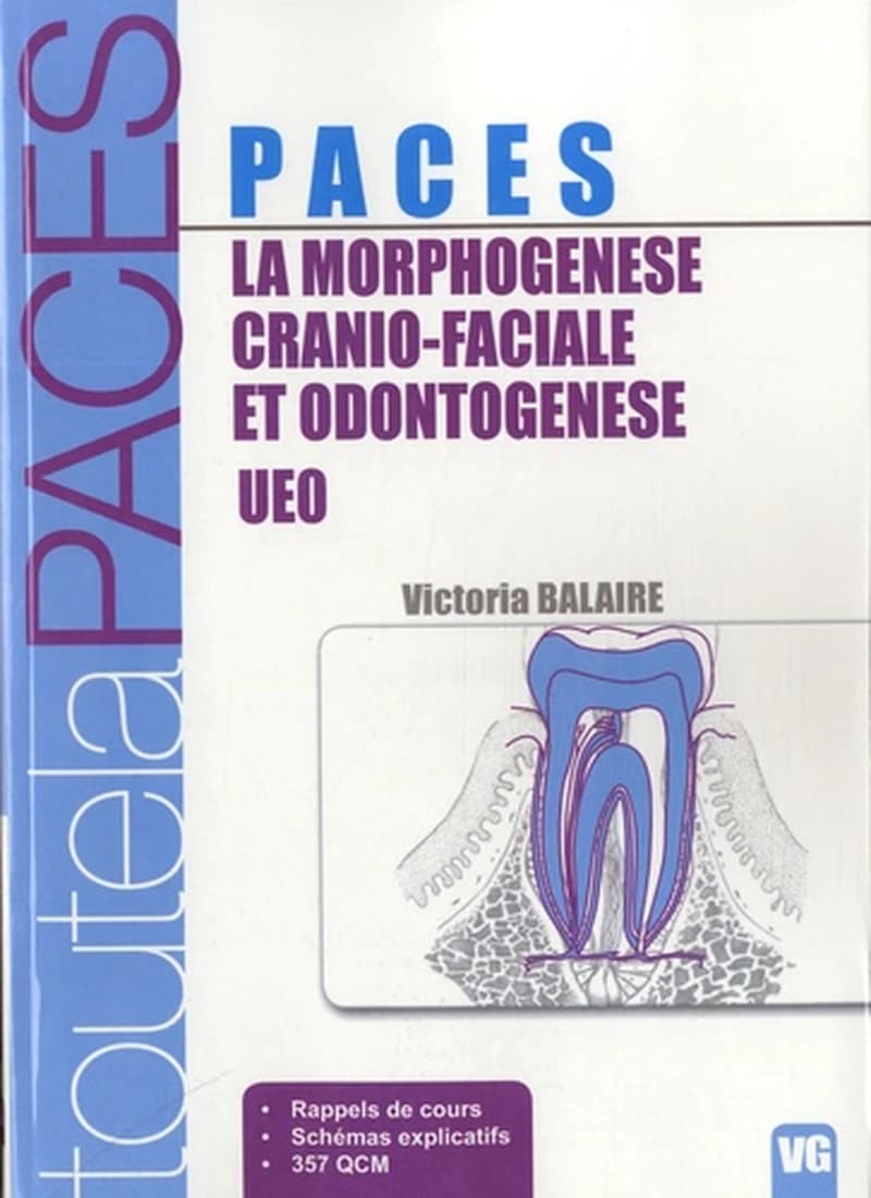 La morphogénèse cranio-faciale et ondotogénèse - UEO