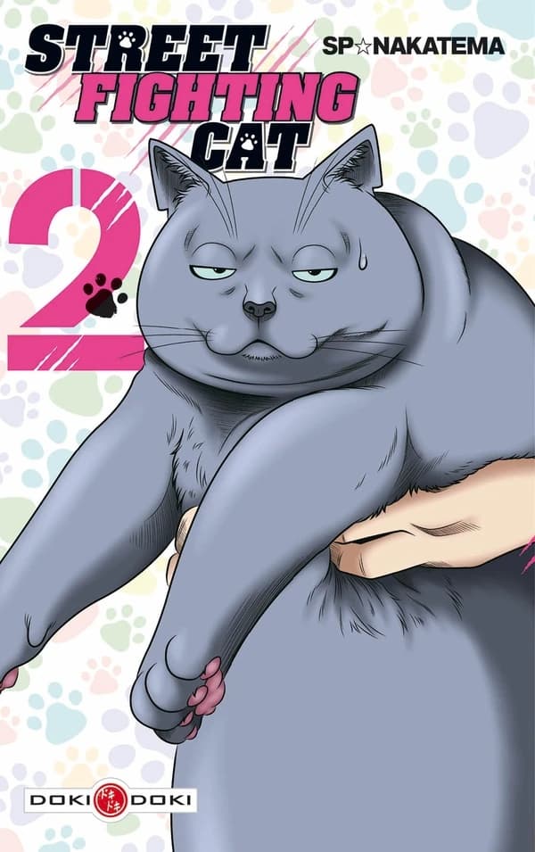 Street fighting cat. 2