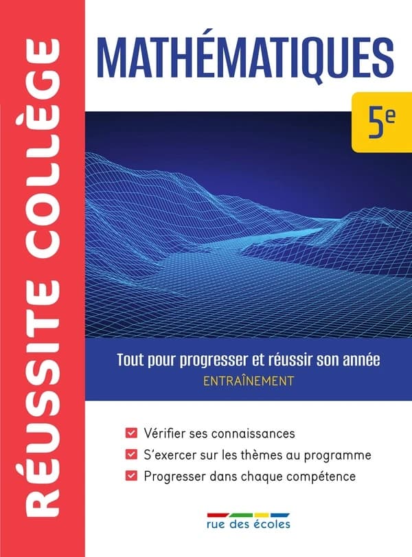 Réussite collège : mathématiques ; 5e ; tout pour progresser et réussir son année