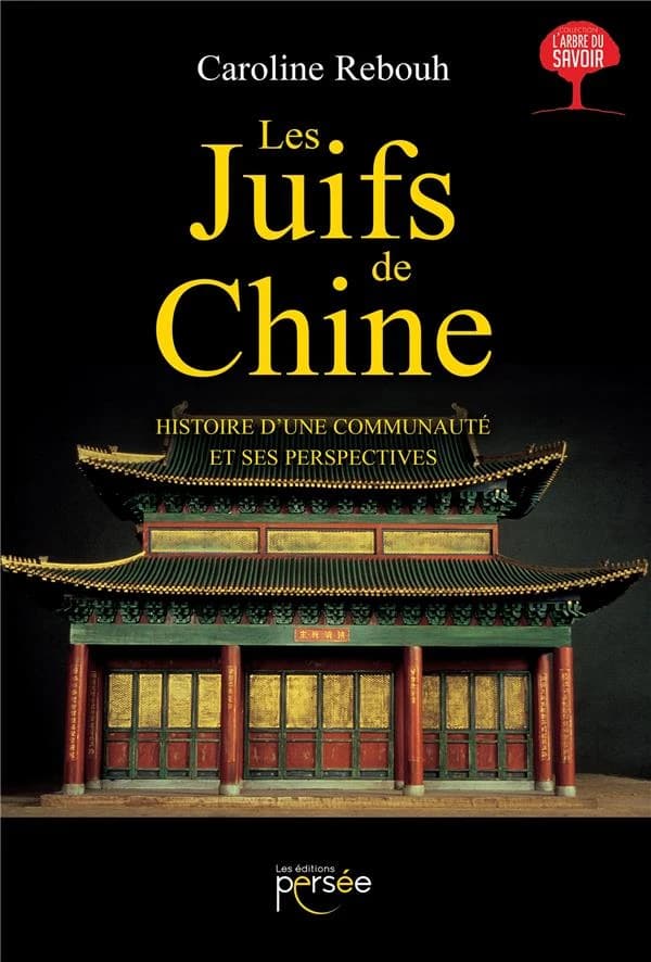 Les juifs de Chine : histoire d'une communauté et ses perspectives : essai