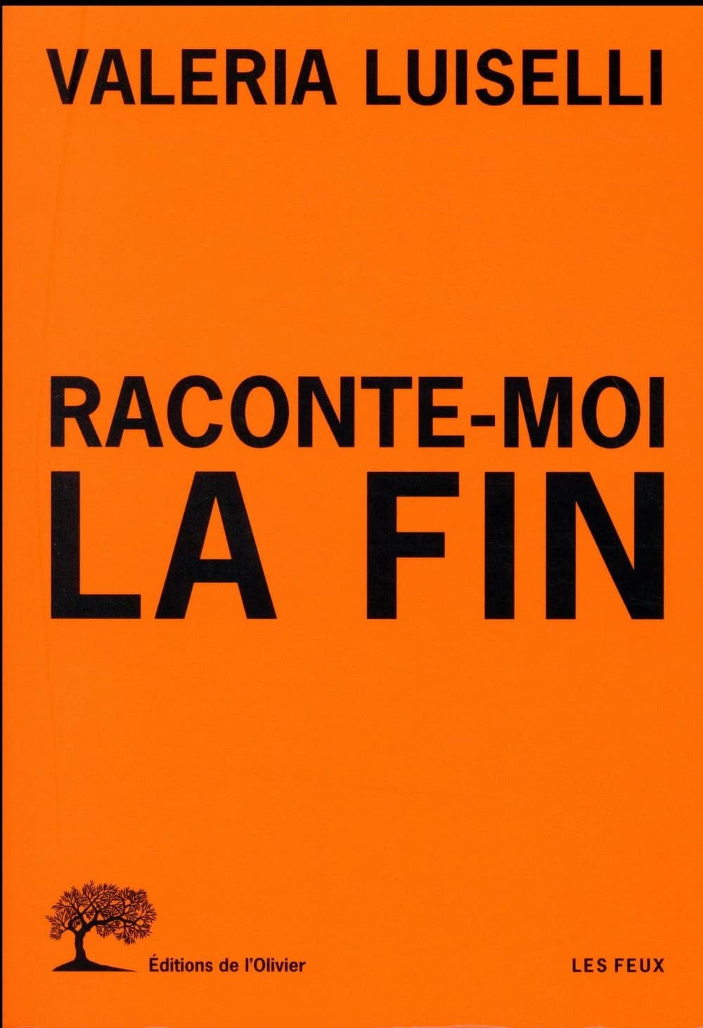 Raconte-moi la fin : un essai en quarante questions