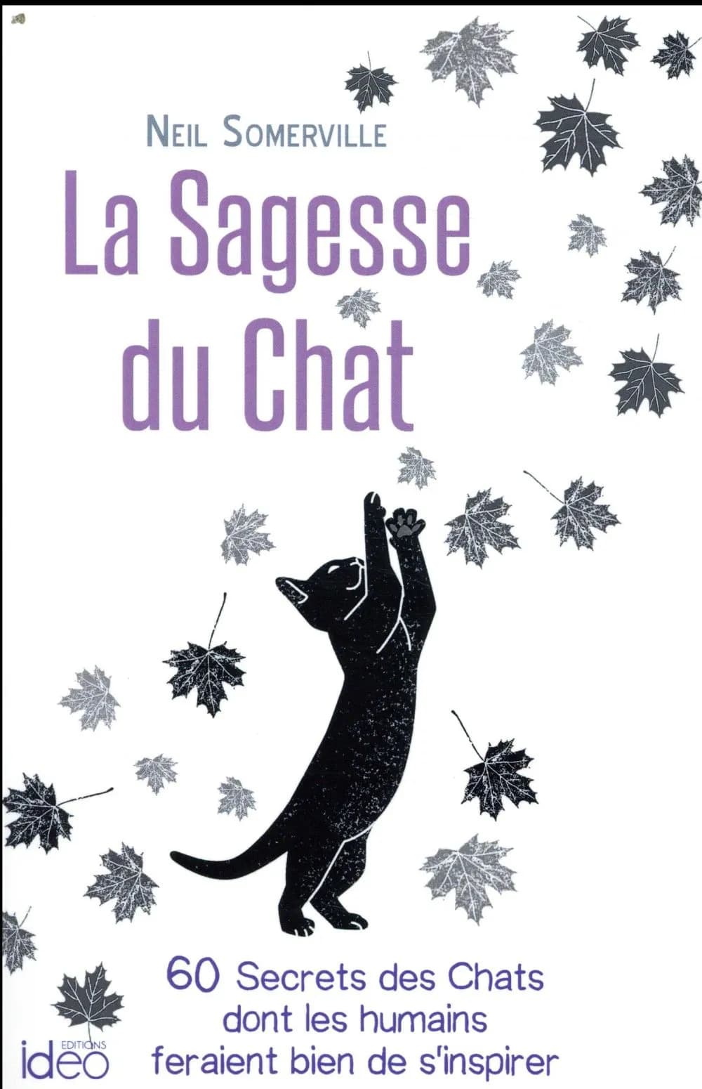 La sagesse du chat