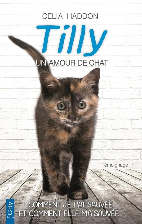 Tilly : un amour de chat
