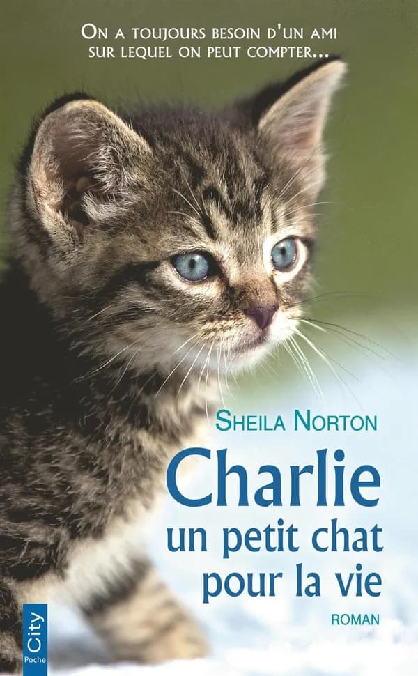 Charlie : un petit chat pour la vie