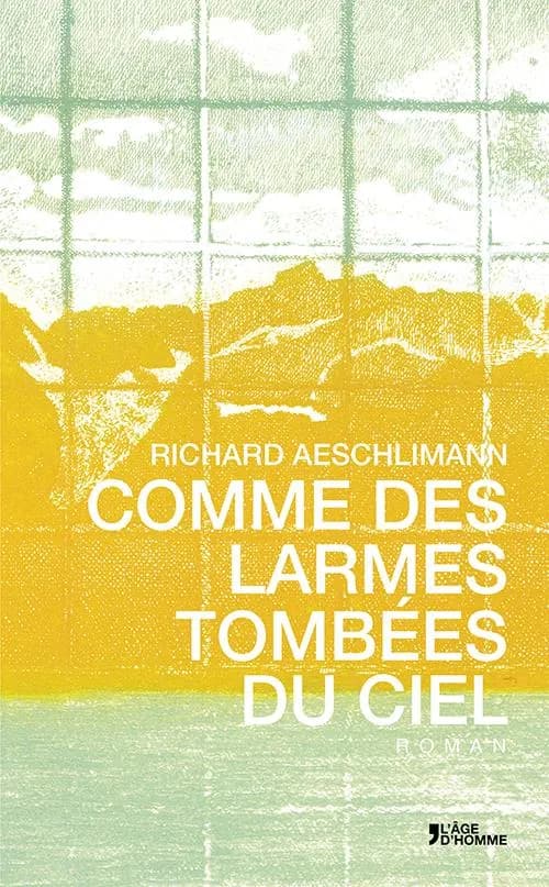 Comme des larmes tombées du ciel : roman