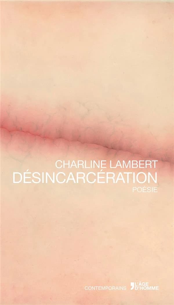 Désincarcération : poésie