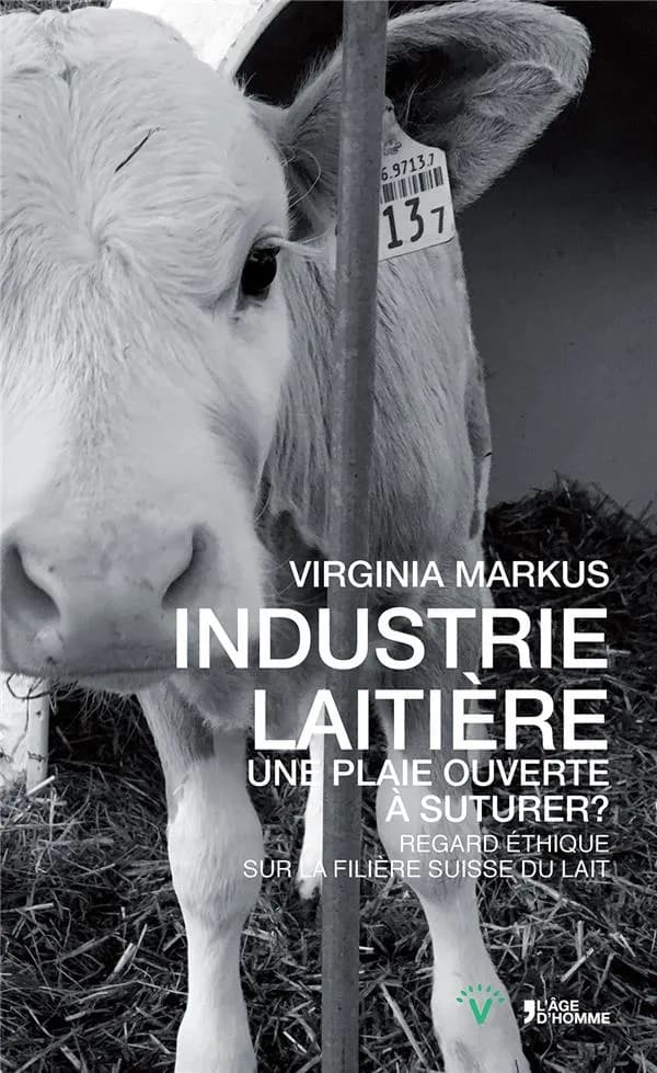 Industrie laitière : une plaie ouverte à suturer ? : regard éthique sur la filière suisse du lait