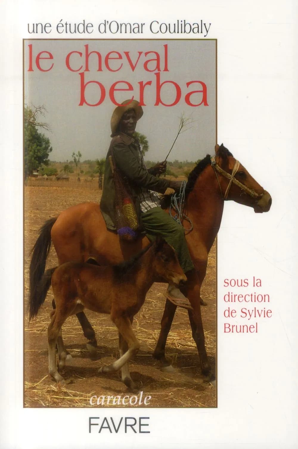 Le cheval berba