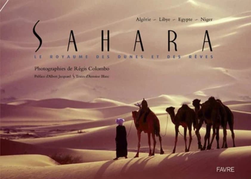Sahara : le royaume des dunes et des rêves