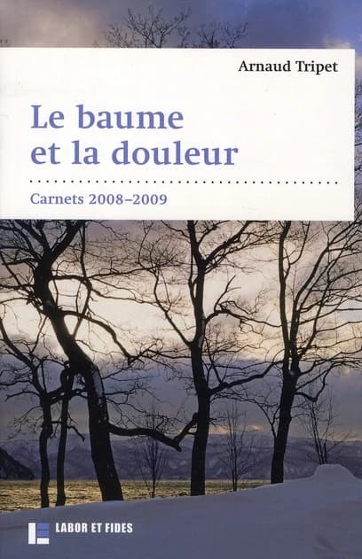 Le baume et la douleur : carnets 2008-2009