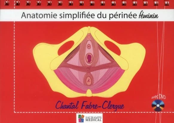 Anatomie simplifiée du périnée féminin