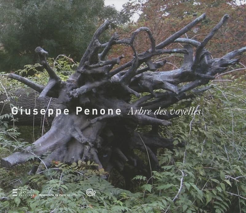 Giuseppe Penone : "Arbre des voyelles" : "Ramenez nous dans la forêt, dans l'obscurité, dans l'ombre, dans le parfum des sous-bois, dans la stupeur de la cathédrale qui naît dans la forêt"
