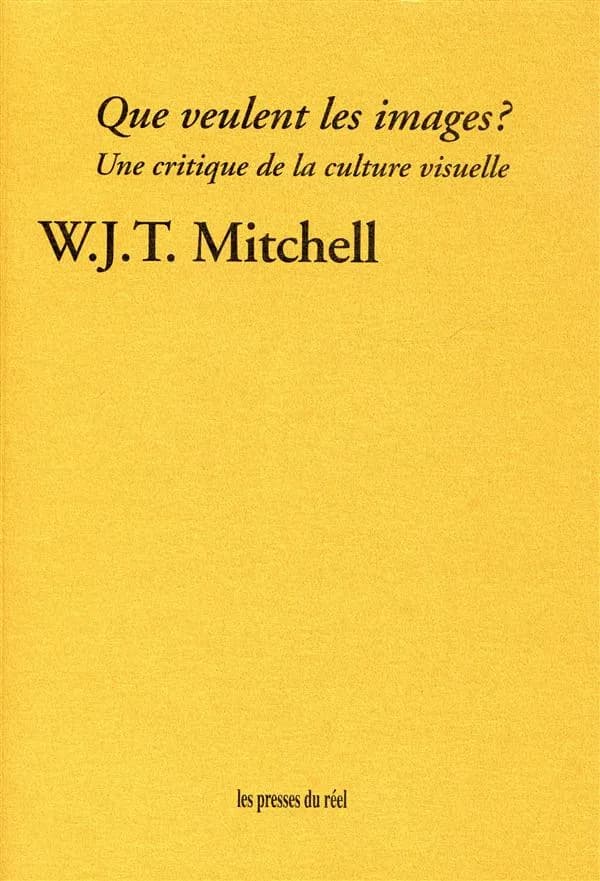 Que veulent les images ? : une critique de la culture visuelle