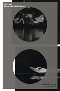 Céleste Boursier-Mougenot : [exposition, Paris, Palais de Tokyo, 24.06-13.09.2015]