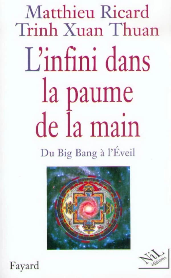 L'infini dans la paume de la main : du Big Bang à l'Eveil.