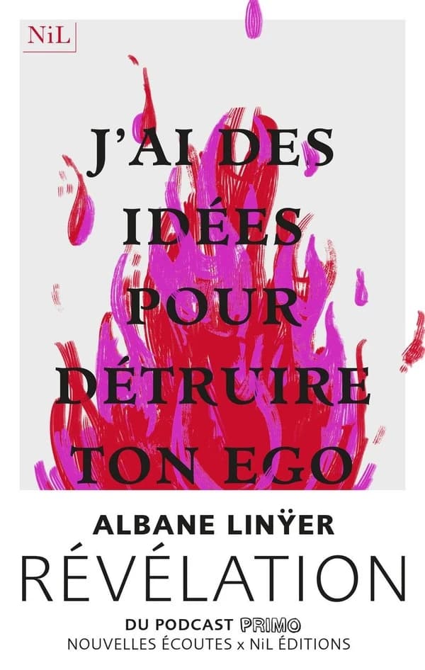 J'ai des idées pour détruire ton ego : roman