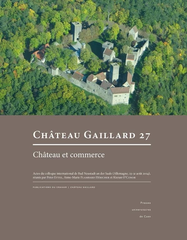 Château et commerce : actes du colloque international de Bad Neustadt an der Saale, Allemagne, 23-31 août 2014