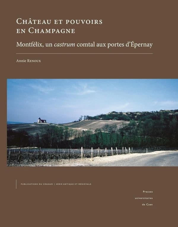Château et pouvoirs en Champagne : Montfélix, un castrum comtal aux portes d'Épernay