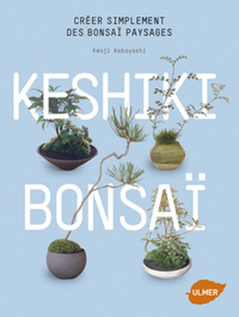 Keshiki bonsaï : Créer simplement des bonsaï paysages