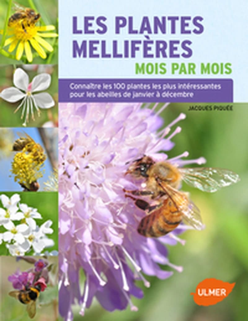 Les plantes mellifères mois par mois : Connaître les 100 plantes les plus intéressantes pour les abeilles de janvier à décembre