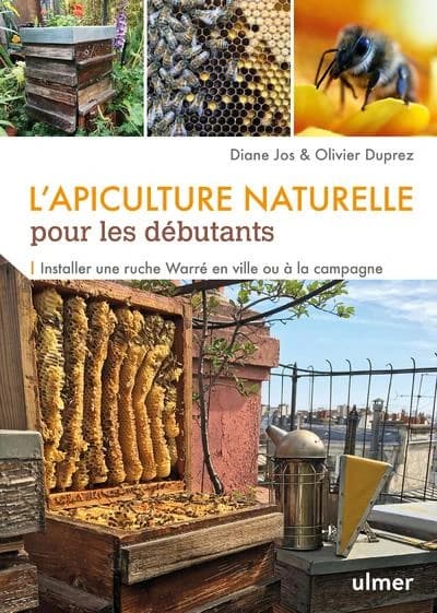 L'apiculture naturelle pour les débutants : installer une ruche Warré en ville où à la campagne
