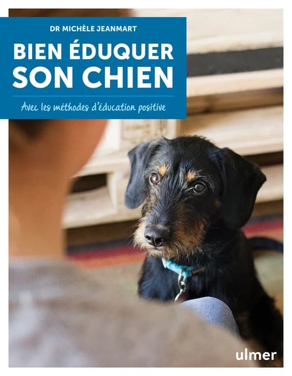 Bien éduquer son chien : avec les méthodes d'éducation positive