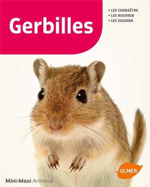 Gerbilles