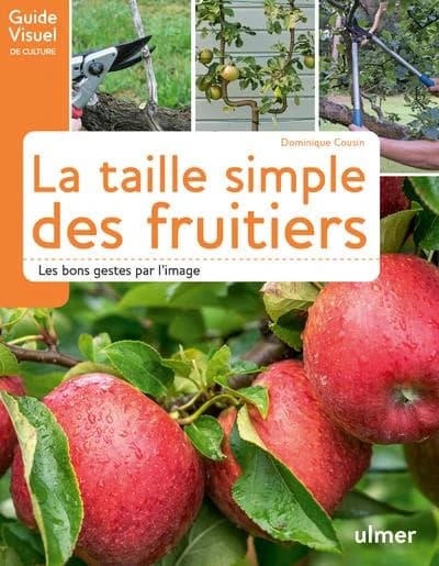 La taille simple des fruitiers : les bons gestes par l'image