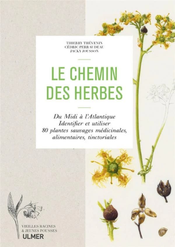 Le chemin des herbes : du midi à l'Atlantique, identifier et utiliser 80 plantes sauvages médicinales, alimentaires, tinctoriales