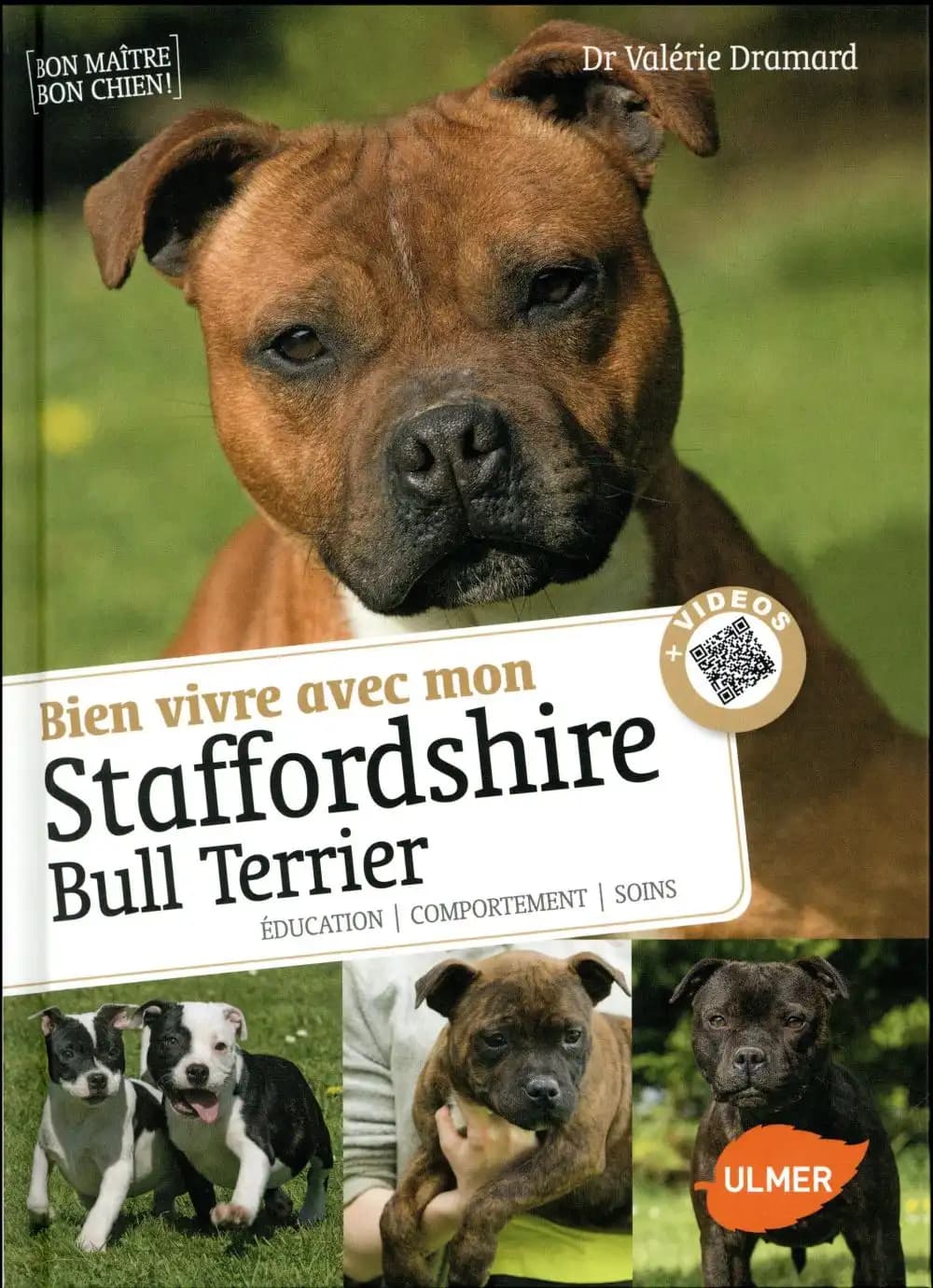 Bien vivre avec mon Staffordshire Bull Terrier : éducation, comportement, soins