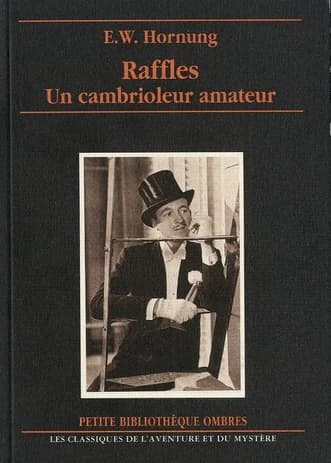 Un cambrioleur amateur