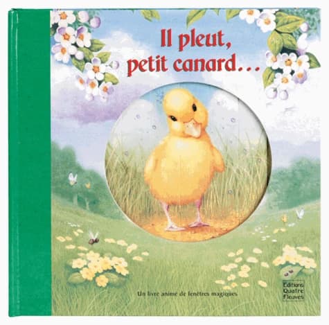 Il pleut, petit canard