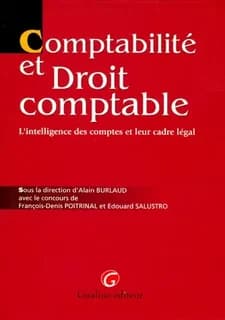 Comptabilité et droit comptable : l'intelligence des comptes et leur cadre légal
