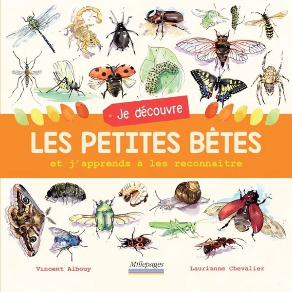 Je découvre les petites bêtes et j'apprends à les reconnaître